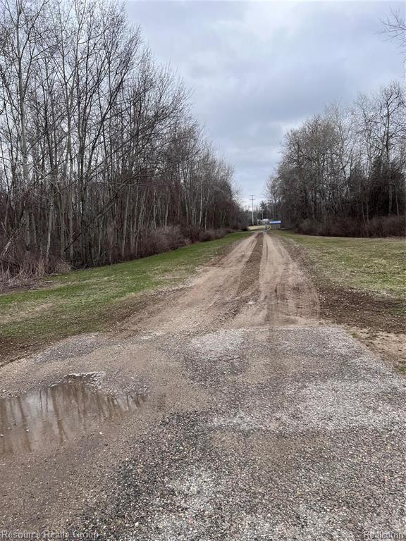 5239 N Coleman Road, Coleman, MI 48618 — Photo 2