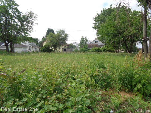 5201 CASMERE Street, Hamtramck, MI 48212 — Photo 2