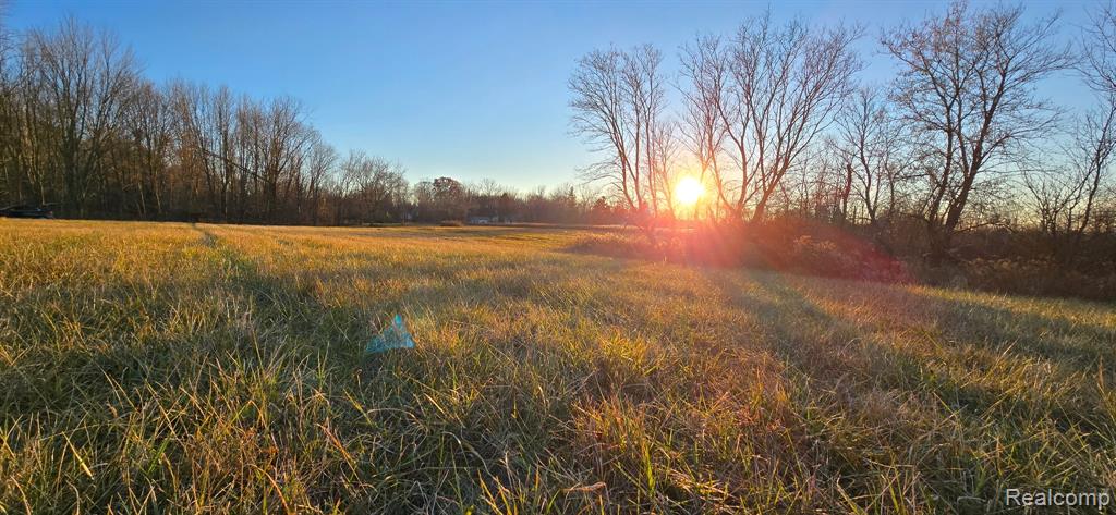 3 Mason Road, Webberville, MI 48892 — Photo 8