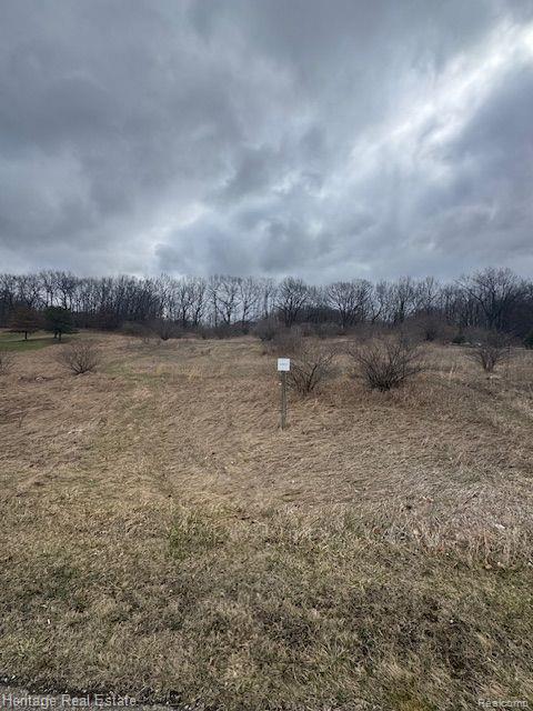 Lot 5 Rosy Drive, Leonard, MI 48367 — Photo 5
