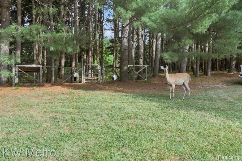355 Dockham Road, Columbiaville, MI 48421 — Photo 29