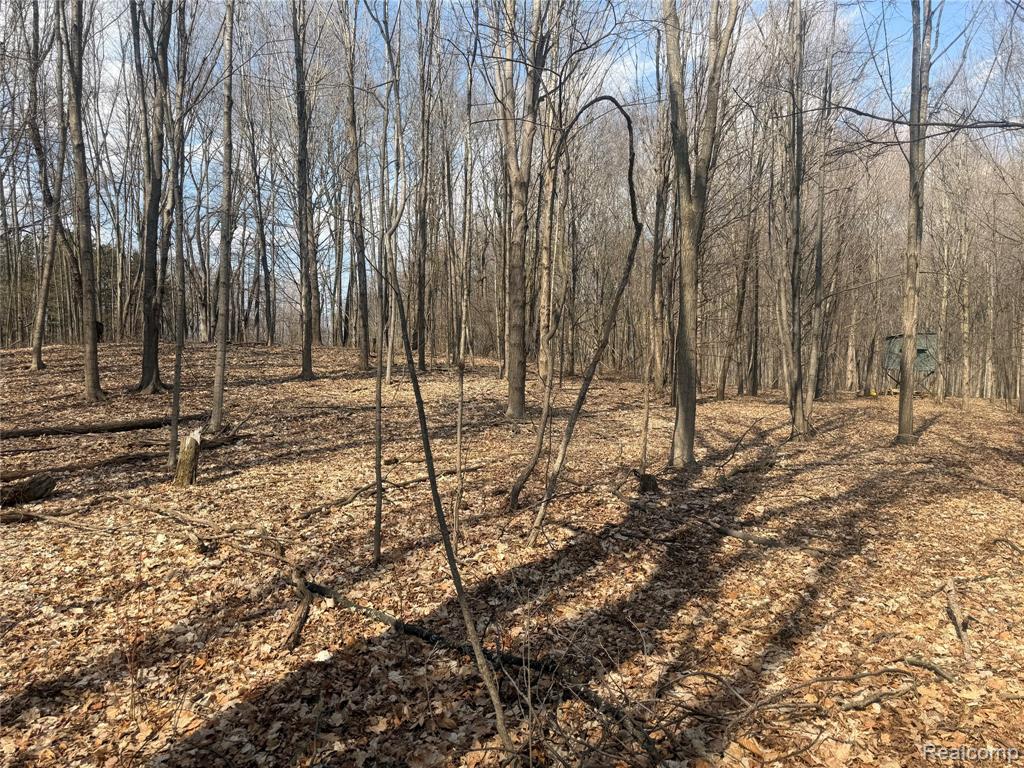 V/L Fulton, Mayville Vlg, MI 48744 — Photo 32