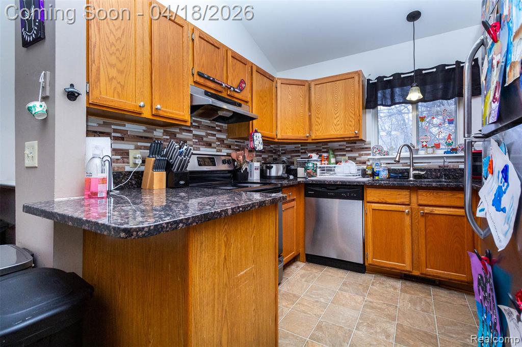 11583 Broadview Street, Hartland, MI 48353 — Photo 11