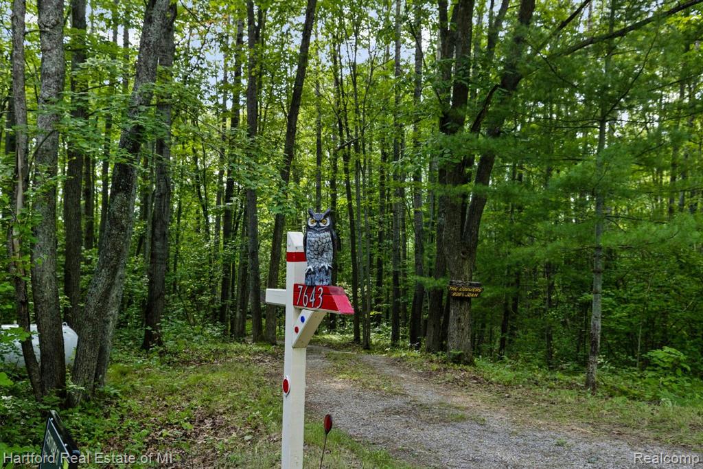 7643 K P LAKE ROAD, Grayling, MI 49738 — Photo 62