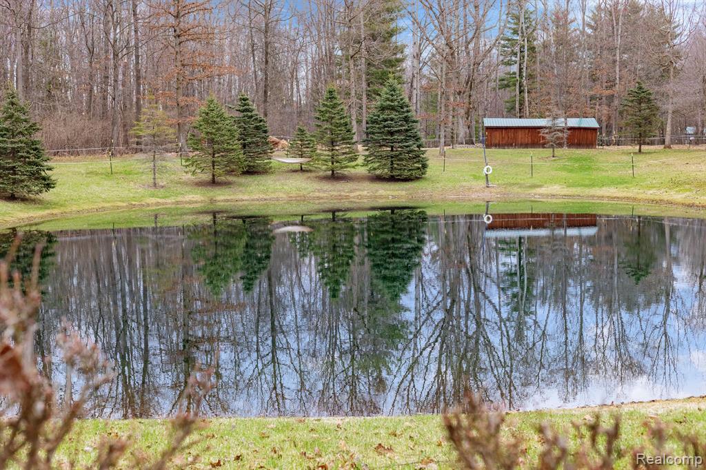4824 Little Cedar Creek Drive, Attica, MI 48412 — Photo 71