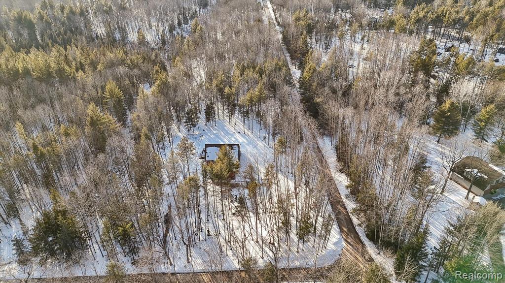 4345 Brenda Court, MI 48656 — Photo 53