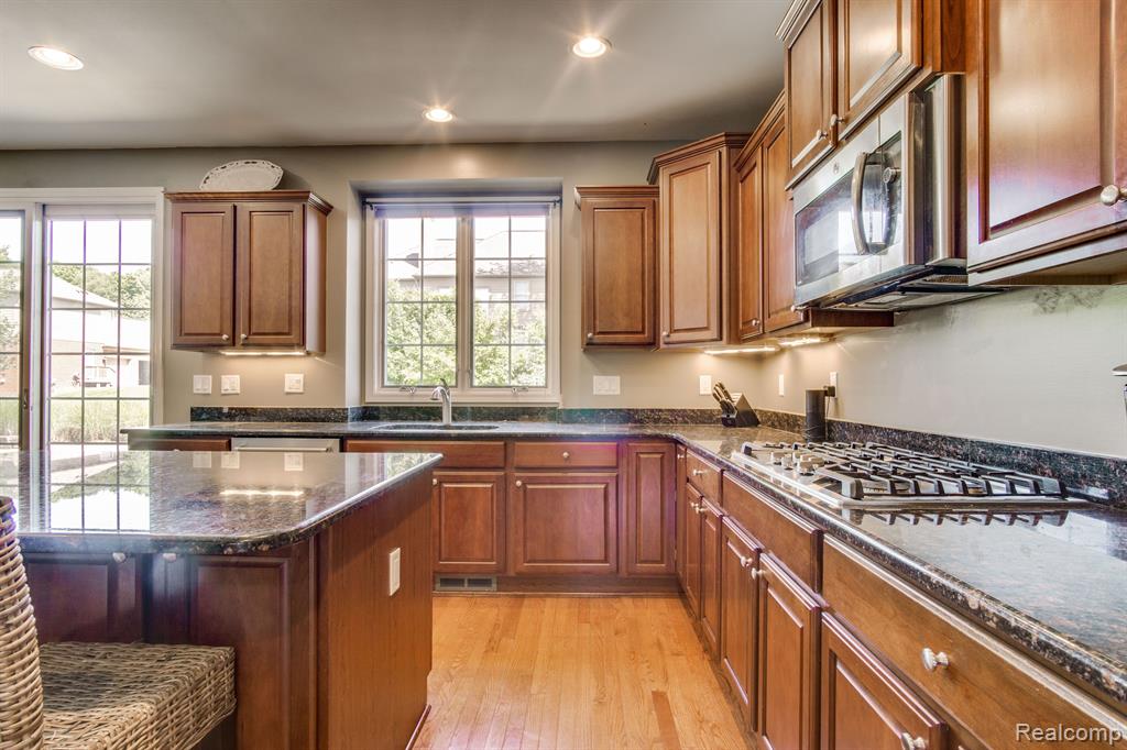 16026 JOHNSON CREEK Drive, Northville, MI 48168 — Photo 19