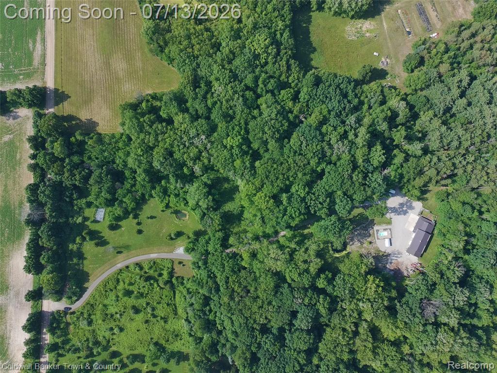 6150 Fleming Road, Fowlerville, MI 48836 — Photo 8