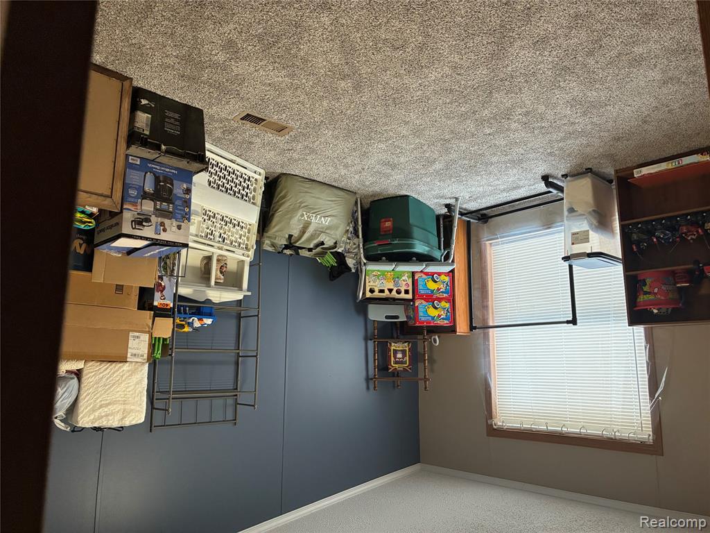 7317 Lads Court, Alma, MI 48801 — Photo 10