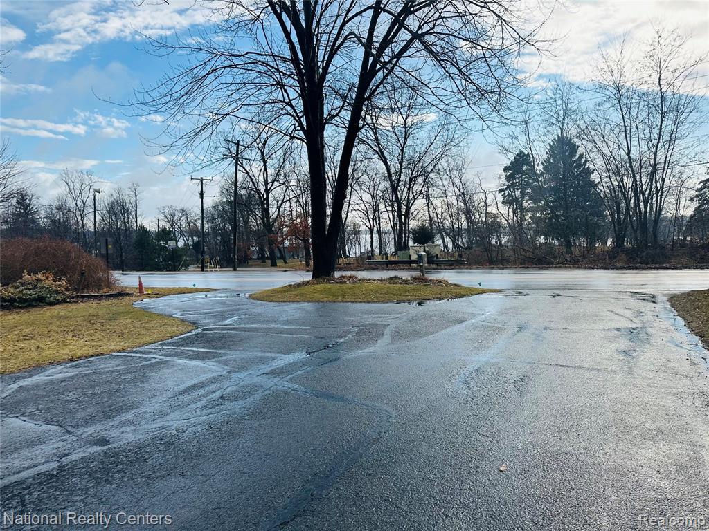 10461 9 Mile Road, Whitmore Lake, MI 48189 — Photo 3