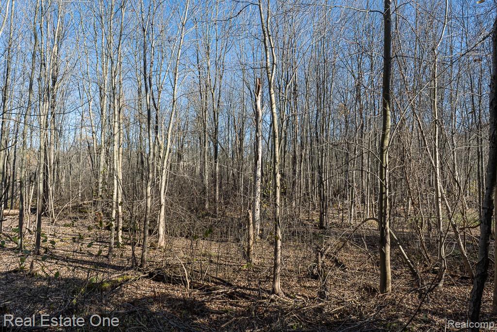 5181 Stonehenge Drive, Rochester, MI 48306 — Photo 55