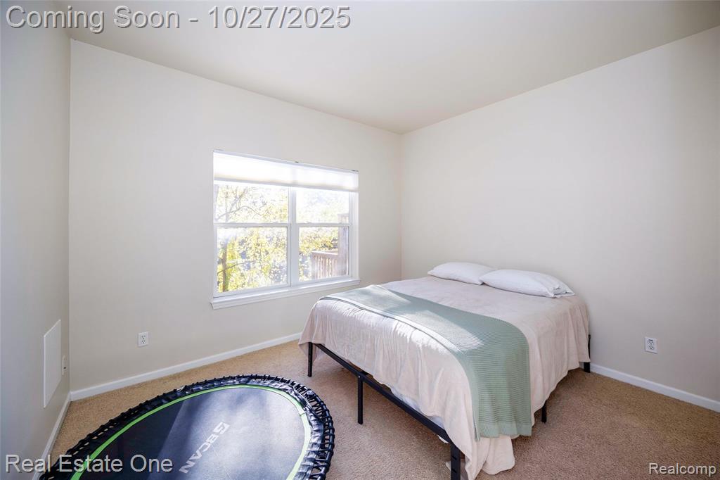 11426 Wolfort Spur, 41, Brighton, MI 48116 — Photo 29