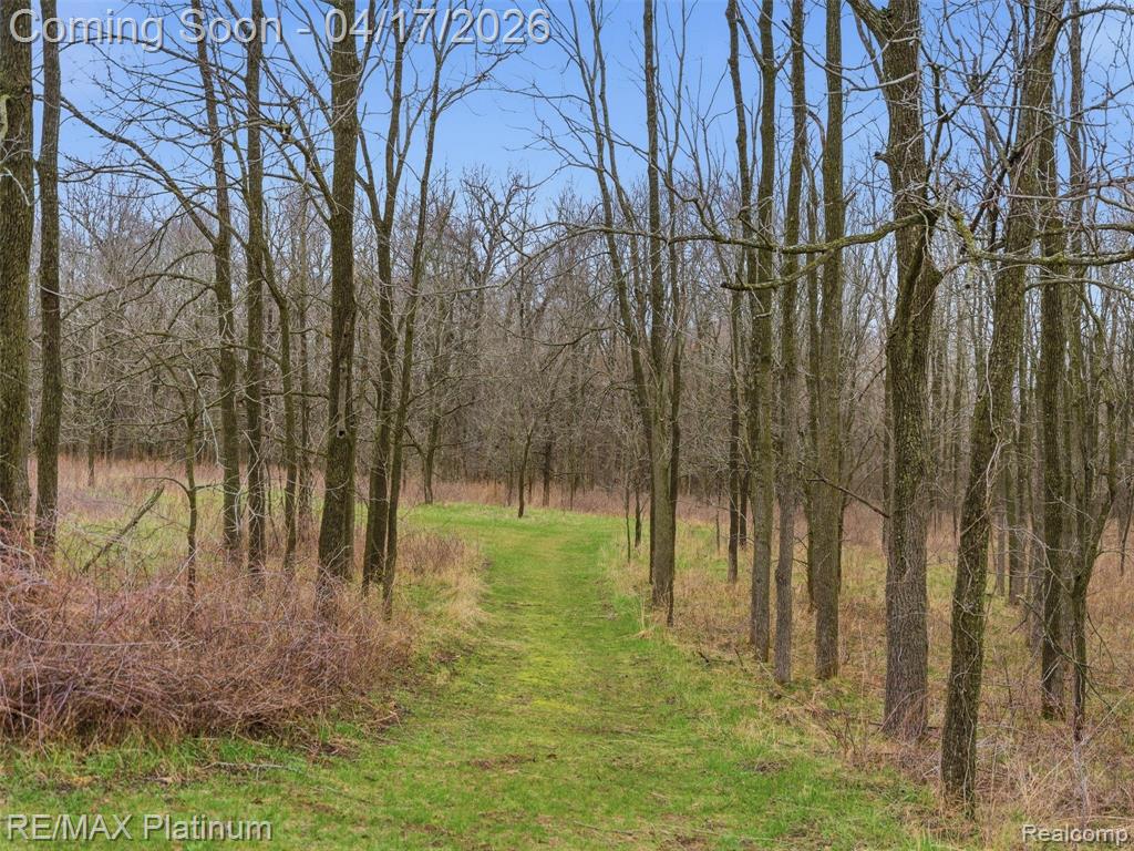 13250 Seymour Road, Gaines Vlg, MI 48436 — Photo 78