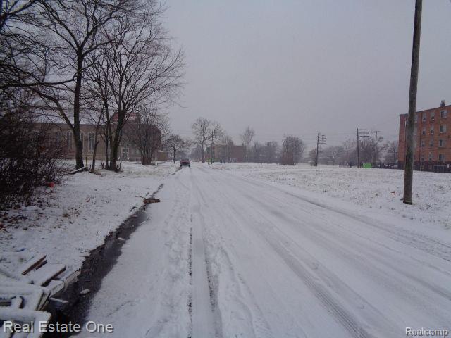 2691 ROCHESTER Street, Detroit, MI 48206 — Photo 20