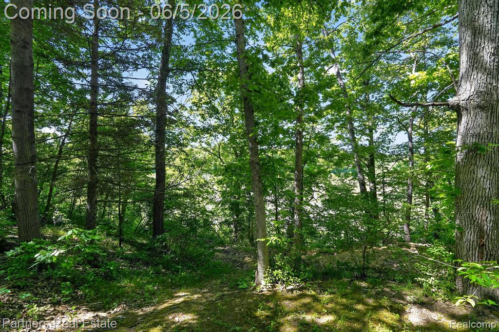 4053 Rolling Acres Drive, Hartland, MI 48353 — Photo 71