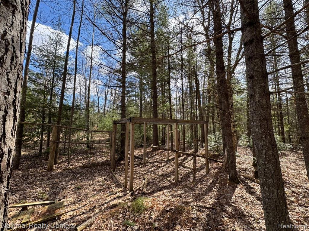 4233 Hardacre Trail, Houghton Lake, MI 48629 — Photo 10