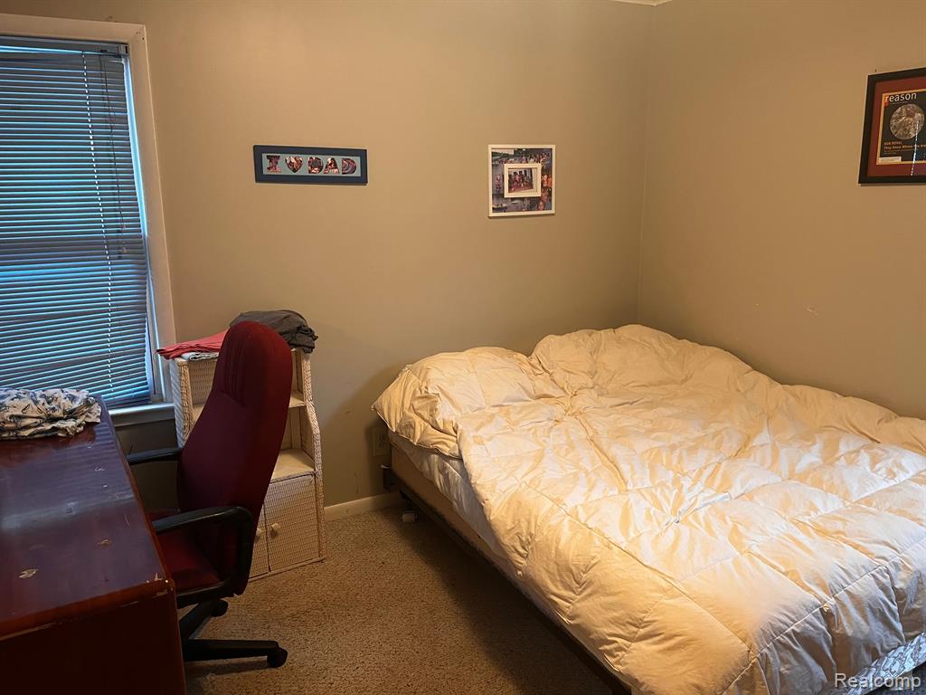 8480 CAROLS Drive, Brighton, MI 48114 — Photo 14