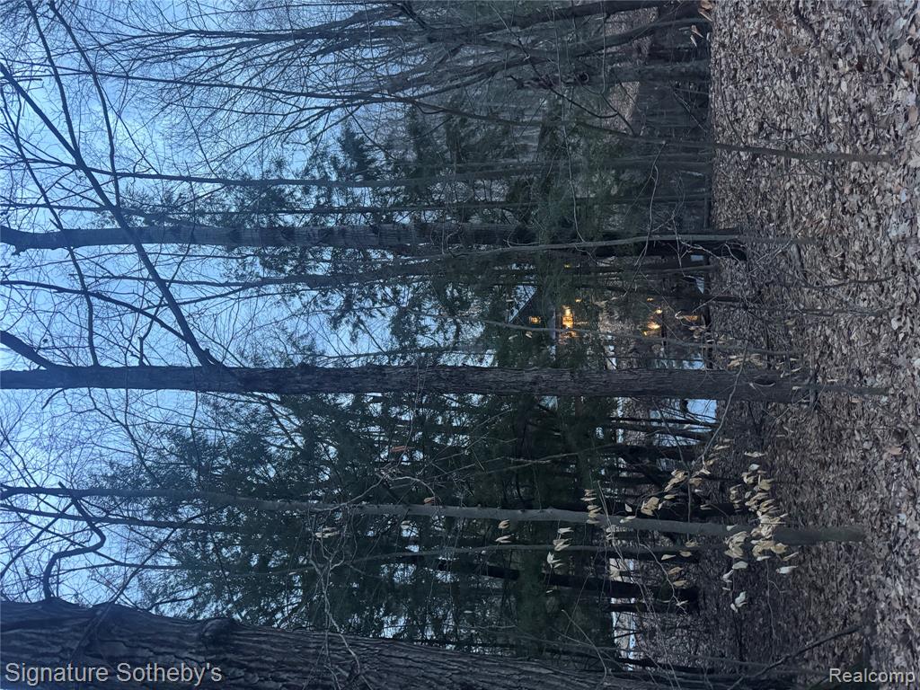 229 Forest Trail, Leroy, MI 49655 — Photo 3