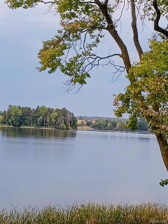 4466 Mill Street, Columbiaville, MI 48421 — Photo 63