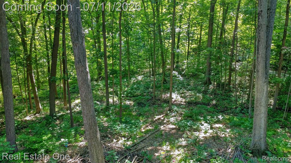 310 S Van Road, Holly, MI 48442 — Photo 51
