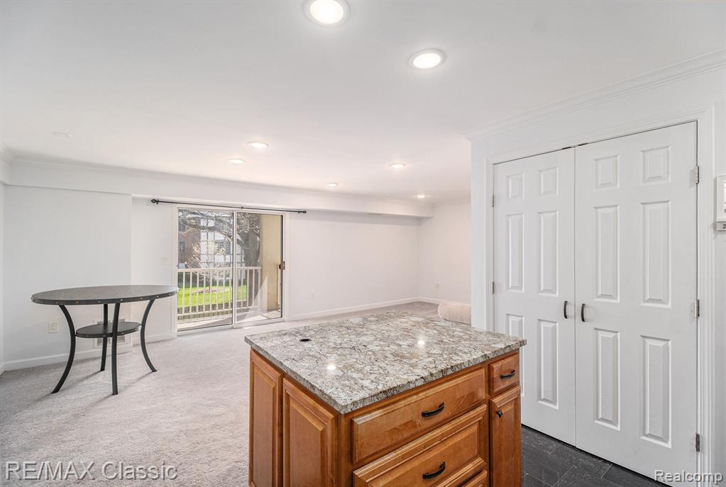 770 DEER Street, 206, Plymouth, MI 48170 — Photo 9