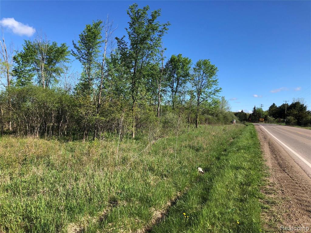 Parcel E GRAHAM Road, Imlay City, MI 48444 — Photo 2