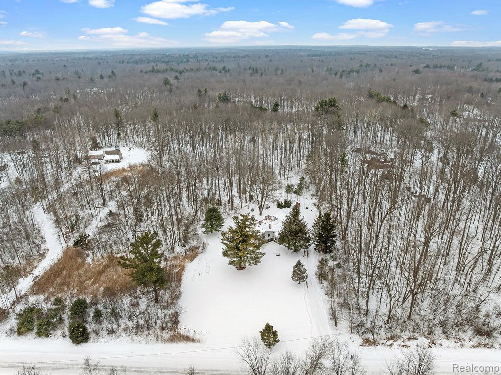 6318 Rynn Road, Clyde, MI 48049 — Photo 39