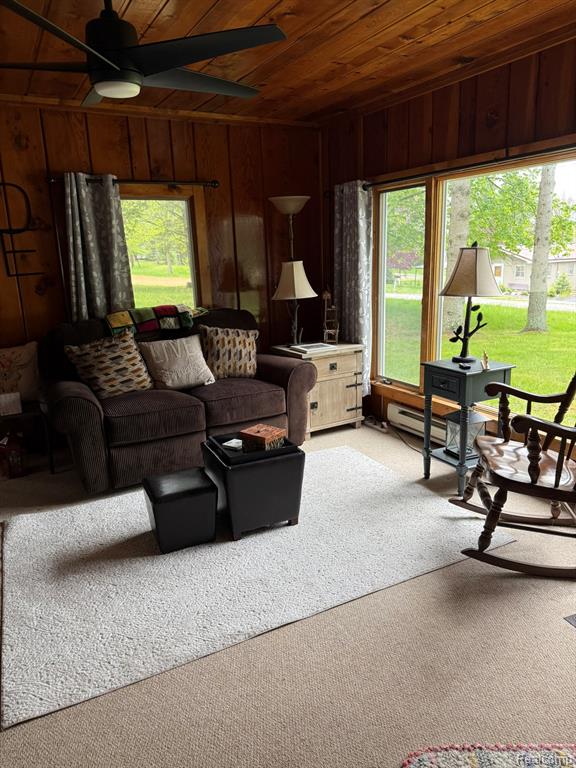 4348 N Shrew Road, Lincoln, MI 48742 — Photo 3