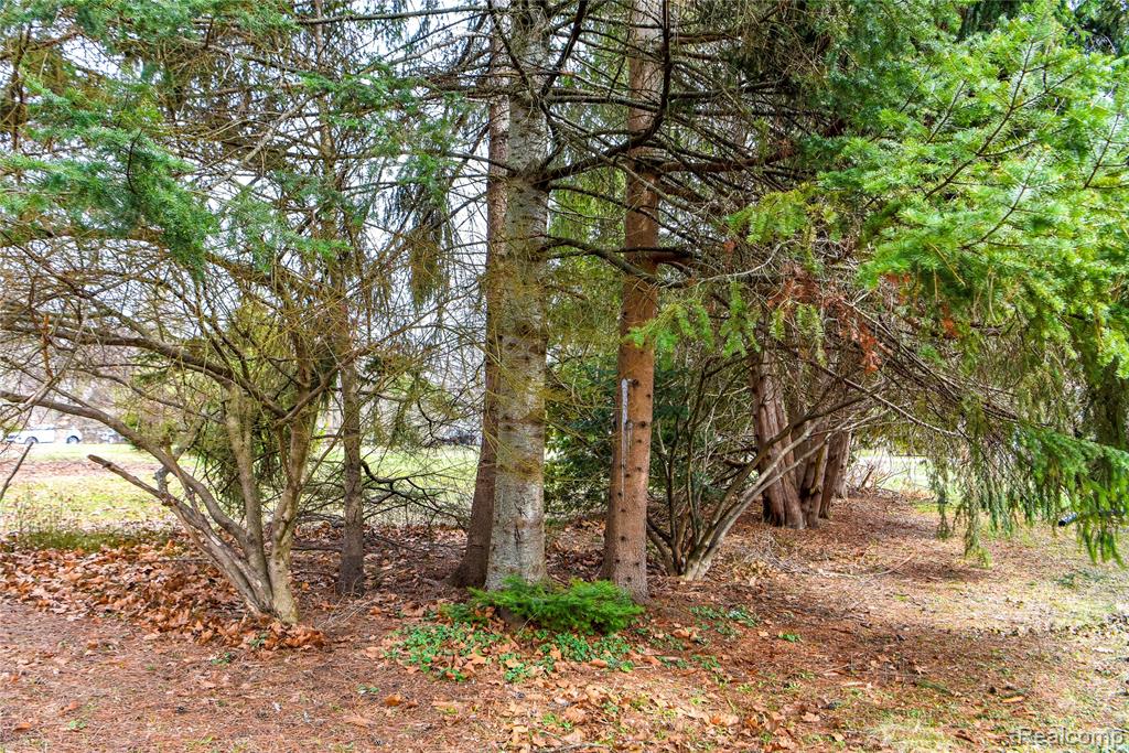 Lot 64 Merry Road, Waterford, MI 48328 — Photo 5