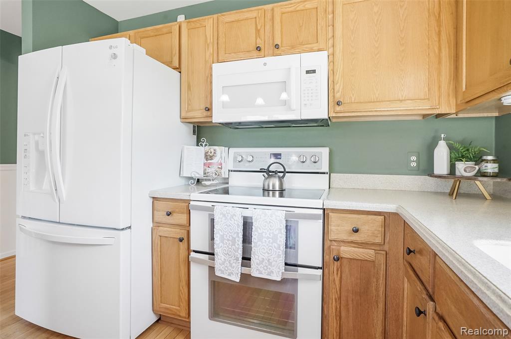 1170 Arabian Court, South Lyon, MI 48178 — Photo 22