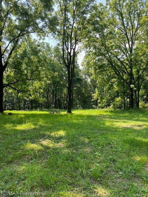 4 Sleaford-Parcel 4 - 32.92 Acres Road, Howell, MI 48843 — Photo 39