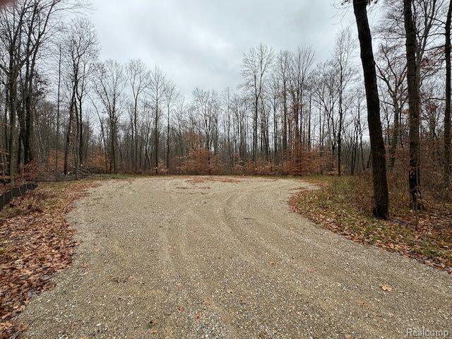Parcel 2 MCCLEMENTS Road, Brighton, MI 48114 — Photo 6