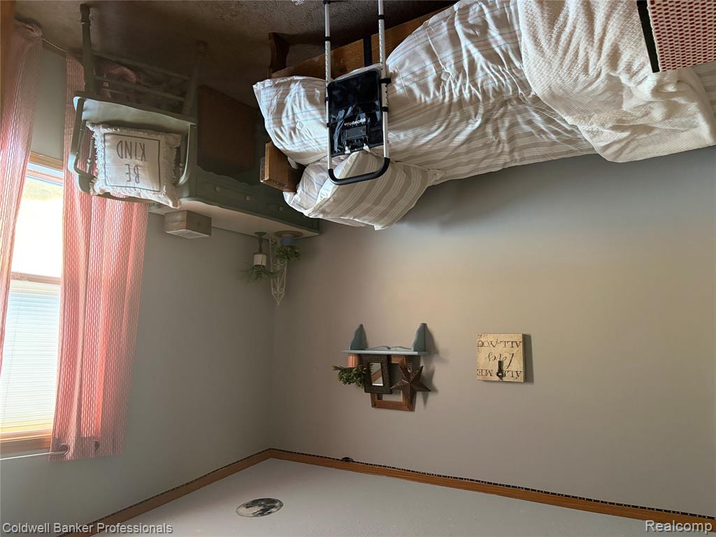 1313 E Murphy Lake Road, Mayville Vlg, MI 48744 — Photo 4