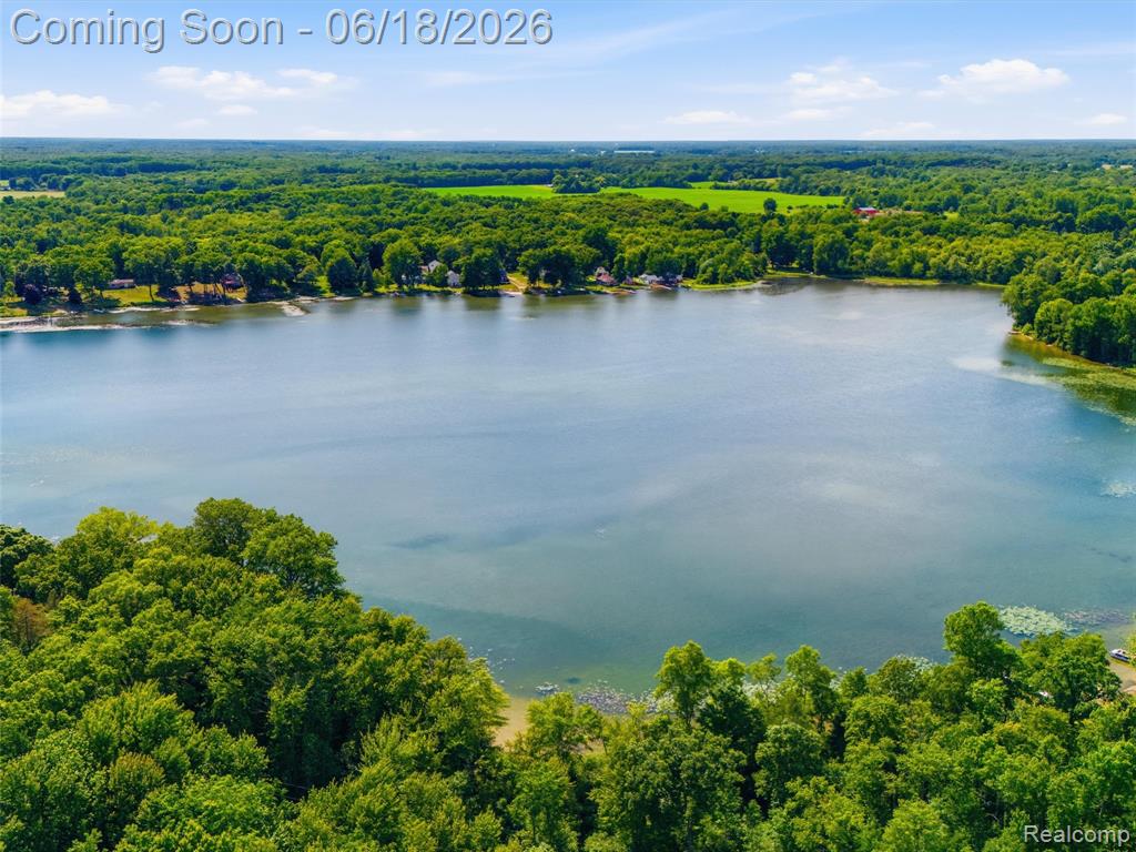 14478 Bouchner Drive, Linden, MI 48451 — Photo 4
