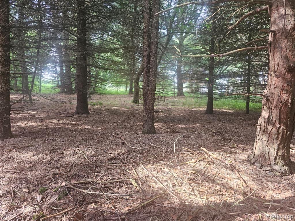 VL Millville Road, Lapeer, MI 48446 — Photo 13