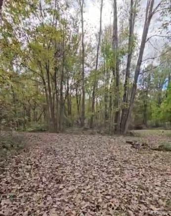 37 Risch Road, Webberville, MI 48892 — Photo 8