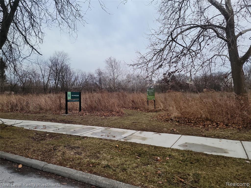 3345 E Ferry Street, Detroit, MI 48211 — Photo 14