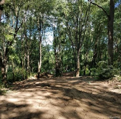 Vacant Land Reason Rd, Pinckney, MI 48169 — Photo 3