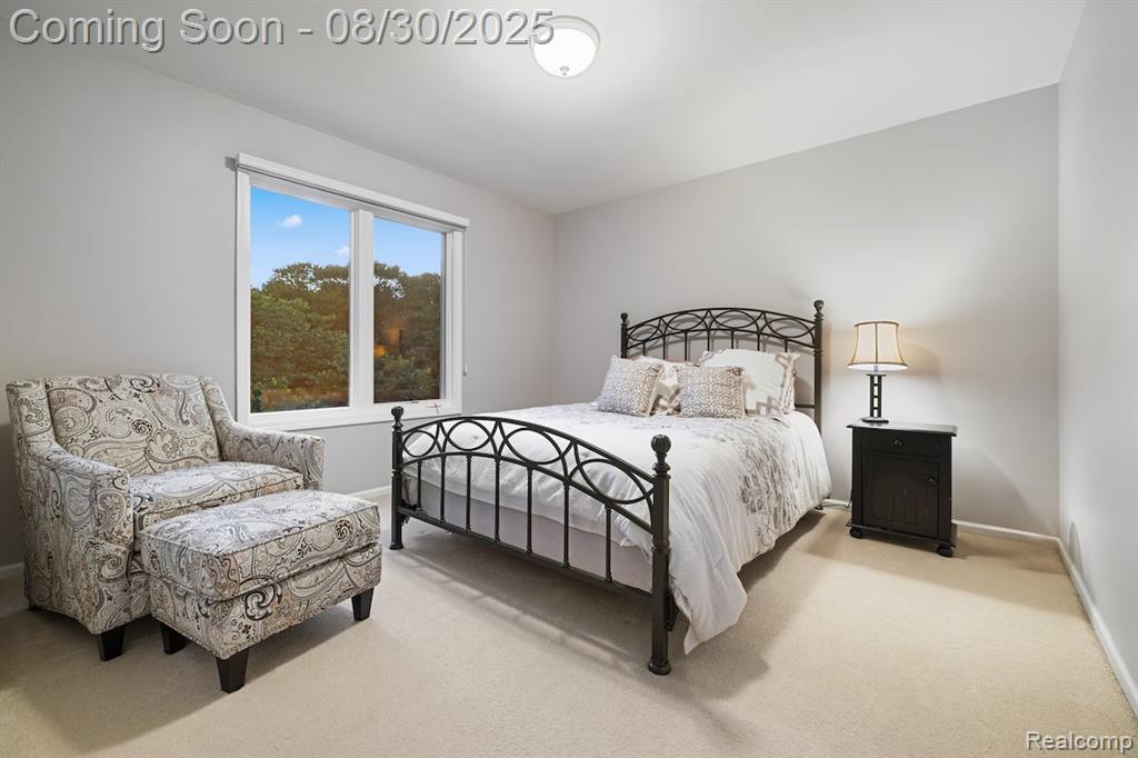 50173 Thetford Court W, Canton, MI 48187 — Photo 34