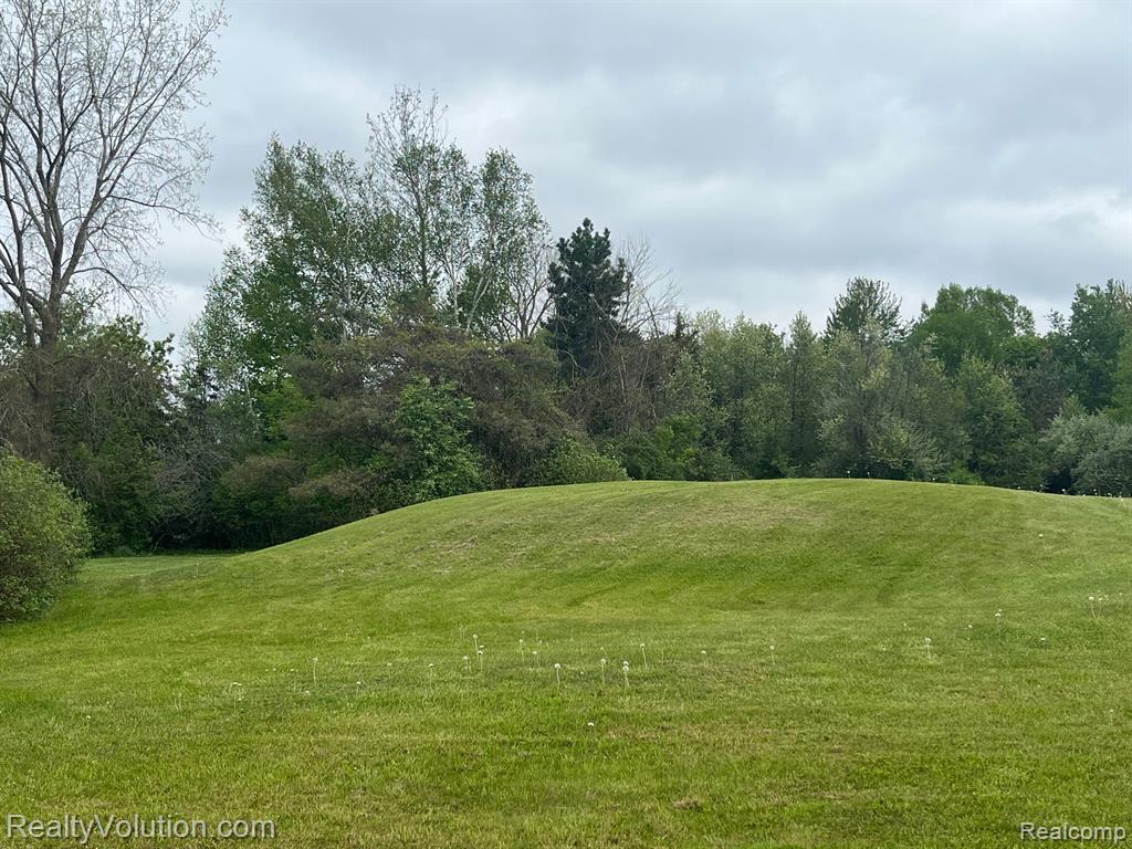 3450 BRIGGS Road, Otter Lake, MI 48464 — Photo 35