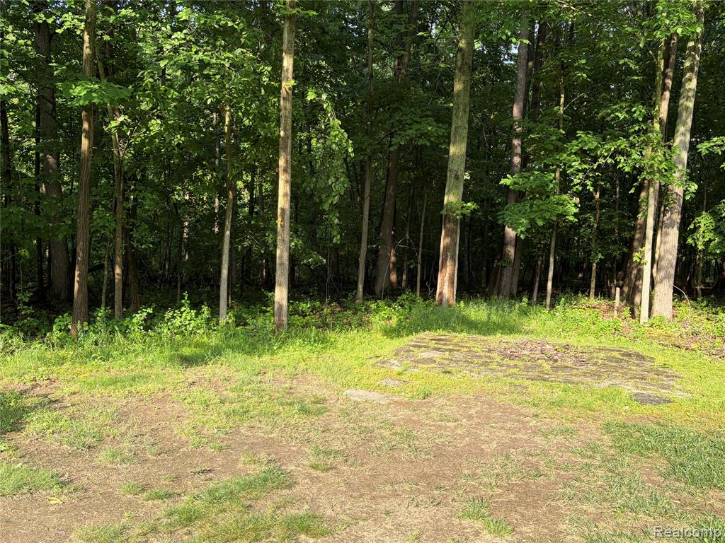 490 Cove View Drive, Waterford, MI 48327 — Photo 11