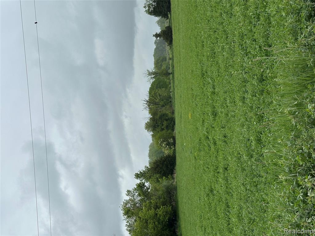 Parcel 3 Cedar Lake Road, Howell, MI 48843 — Photo 2