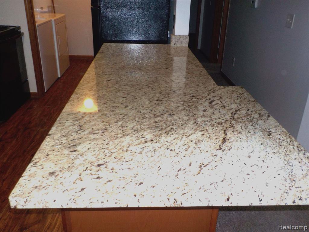 1205 HARBOUR Drive, 40, Trenton, MI 48183 — Photo 9