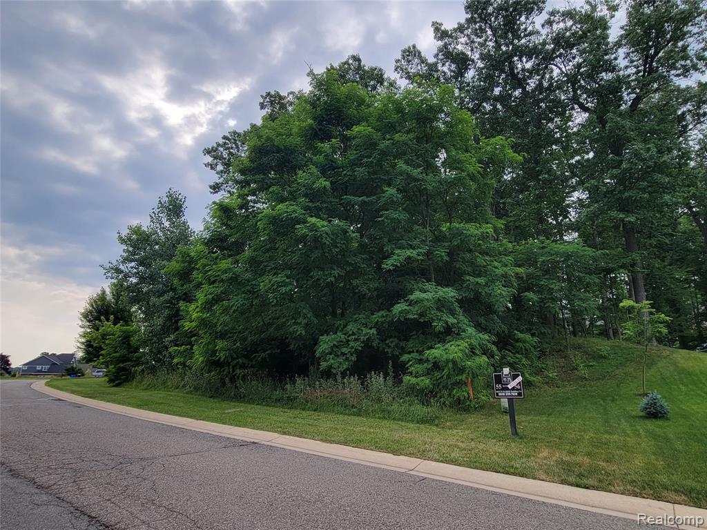 Lot 55 - Wyndam Lane - Photo 2