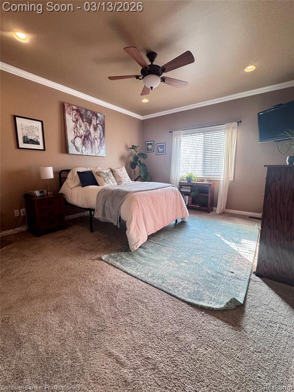 6060 INTRINSIC Lane, Imlay City, MI 48444 — Photo 15