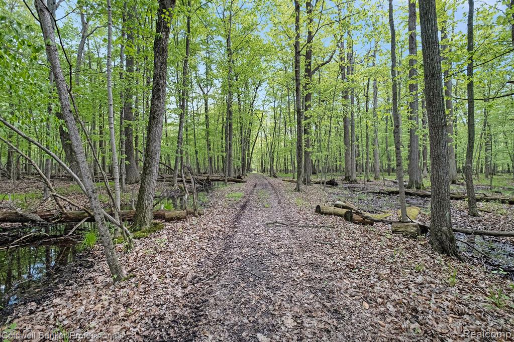 2103 E NEWARK Road, Lapeer, MI 48446 — Photo 73