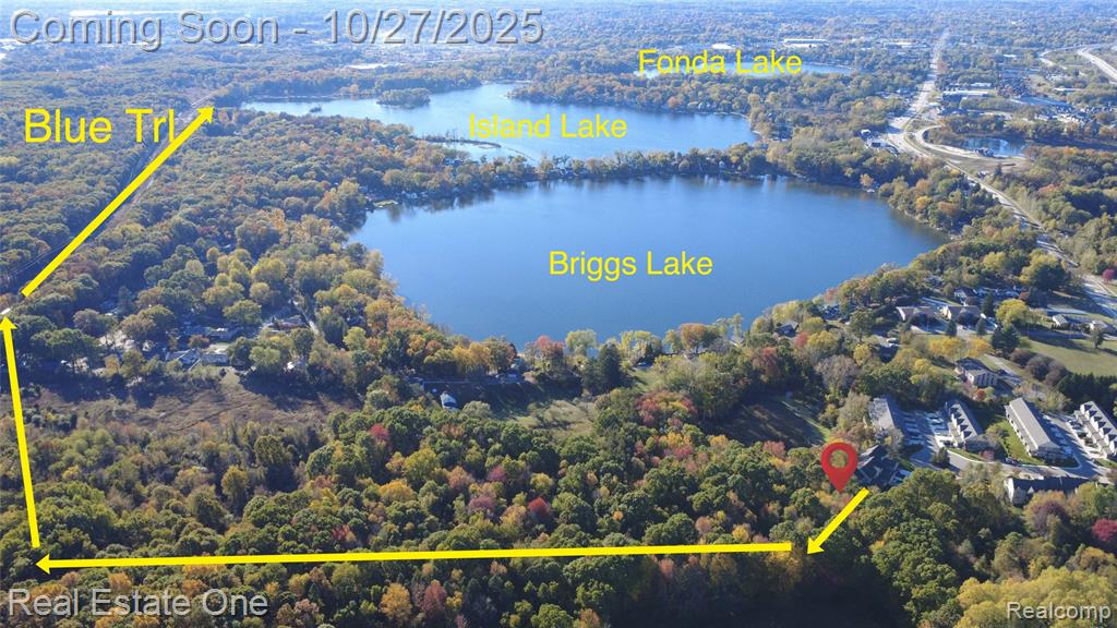 11426 Wolfort Spur, 41, Brighton, MI 48116 — Photo 49