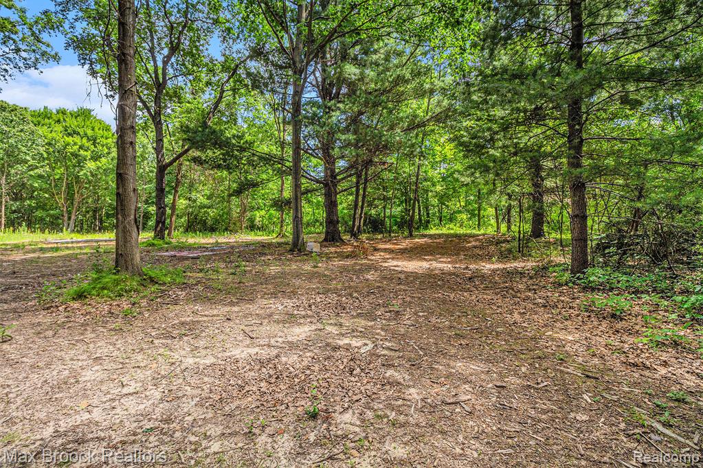 7132 N Oak Road, Davison, MI 48423 — Photo 8