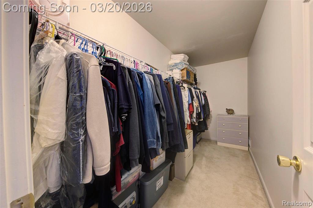 8627 Cass River Drive, Fowlerville, MI 48836 — Photo 11