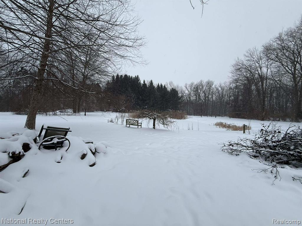 27125 Delos Road, New Boston, MI 48164 — Photo 23